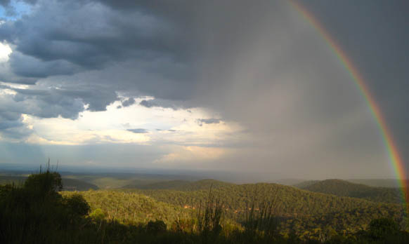 and the rainbow bleeds